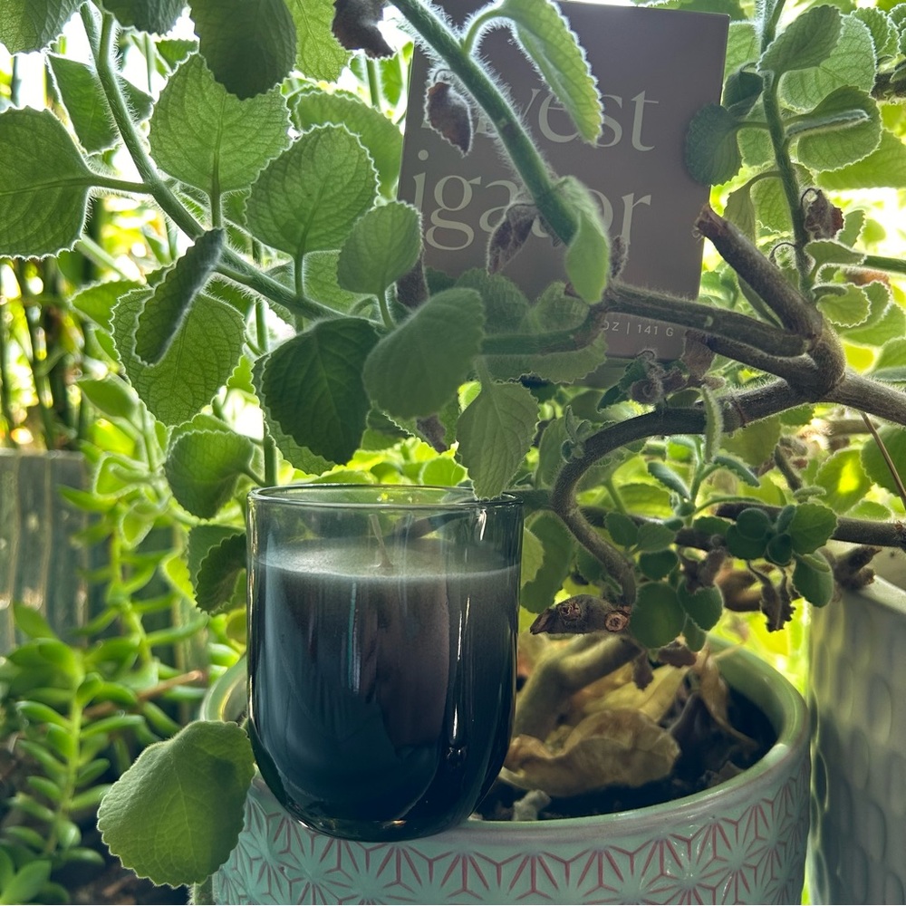 Paddywax Enneagram 5 Investigator Eucalyptus and Santal Jar soy wax Candle 5 oz.